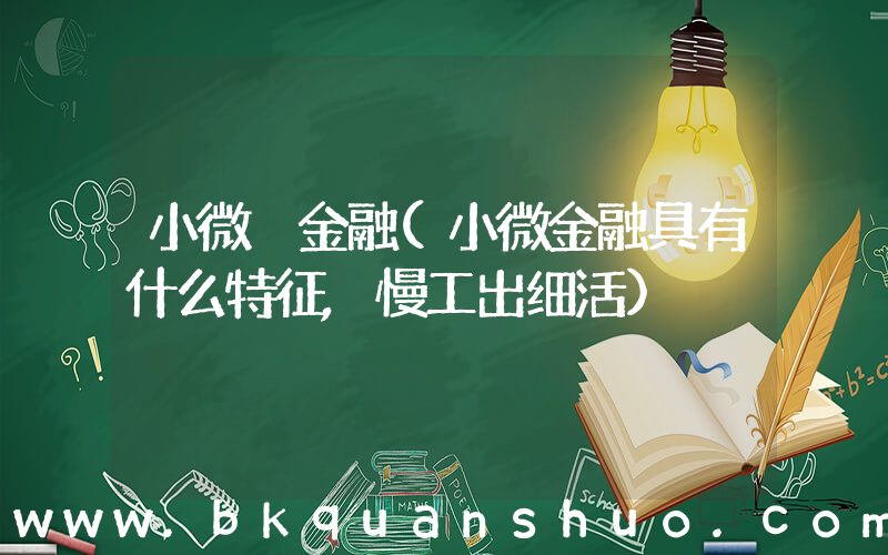 小微 金融(小微金融具有什么特征,慢工出细活)